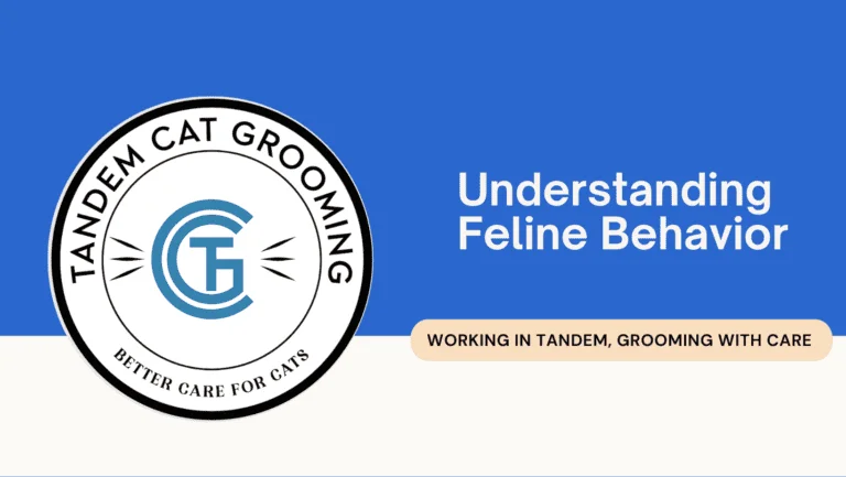 TANDEM Cat® Grooming graphic titled “Understanding Feline Behavior”